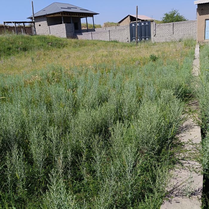 6 sotik quruq joy sotiladi