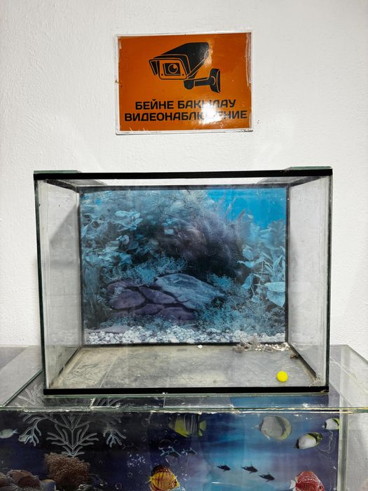 Продам аквариум
