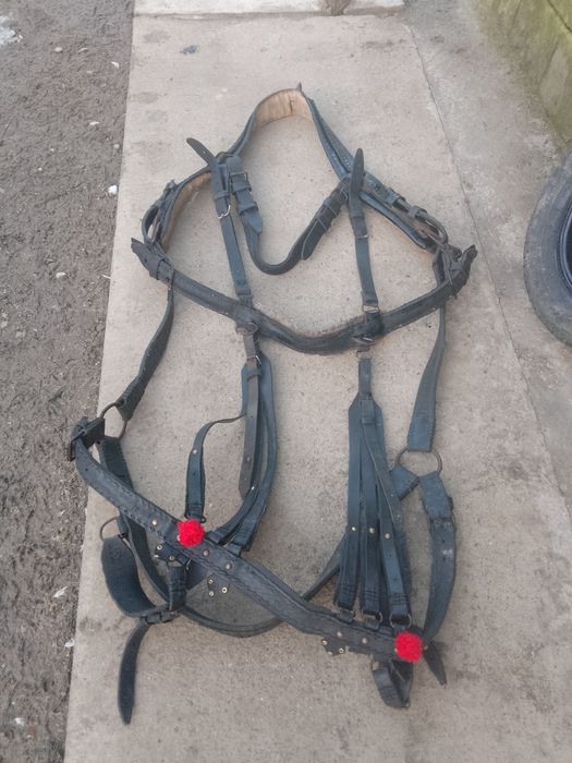 De vanzare ham pentru cal