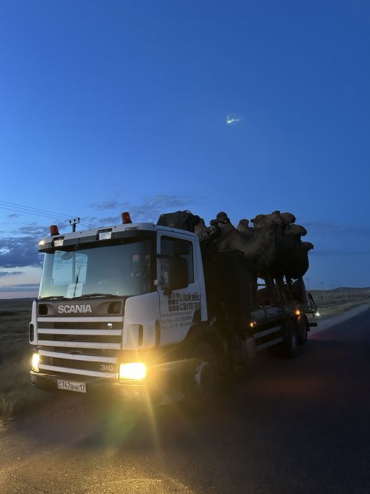 Манипулятор Шымкент