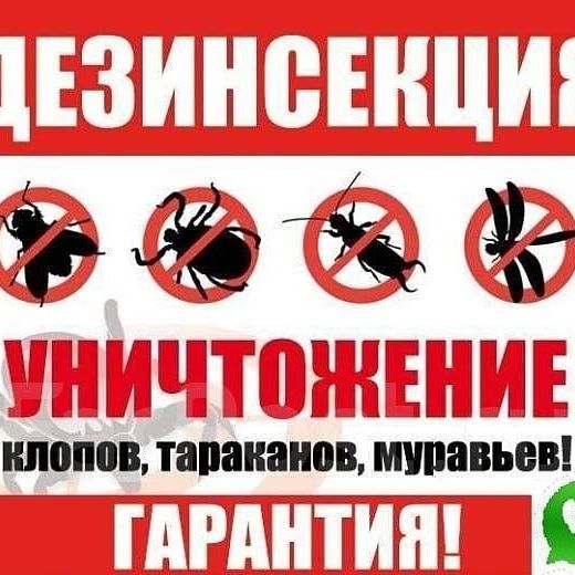 Дезинфекция от насекомых и грызунов