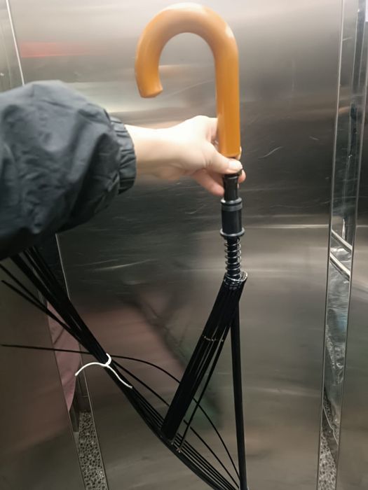 Каркас зонта трости