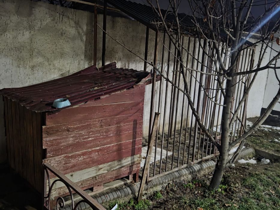 Вальер для собак