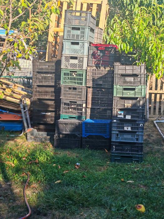 Lăzi m10 în stare foarte bună 100 bucăți