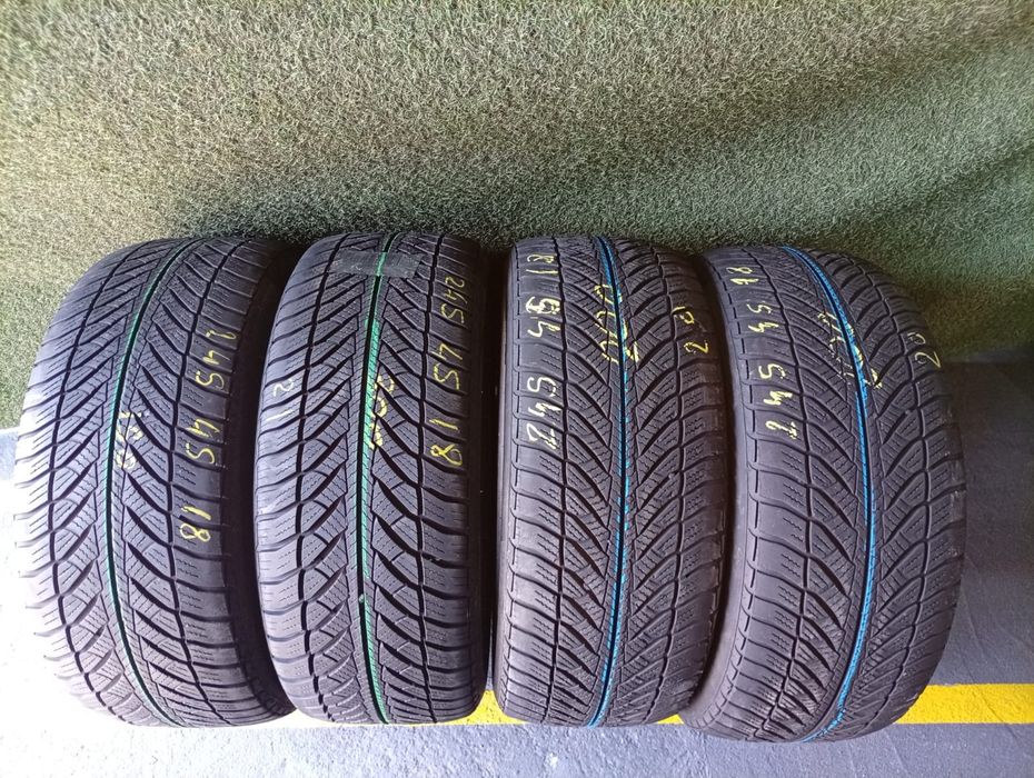 245 45 18 Goodyear m+s