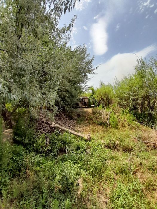 15 sotik tayyor uy sotiladi mevalari bilan