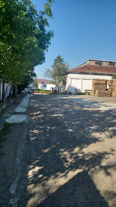 Vand TEREN 6000 m2 ,platforma betonata cu Hale
