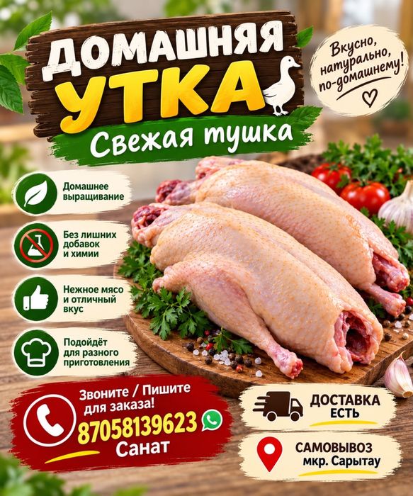 Утка домашная Үйдің үйрегі