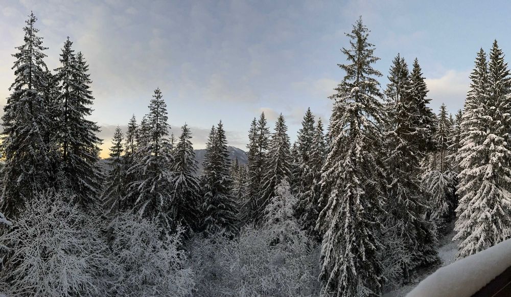 Apartament, 2 camere, Predeal, zona Belverede