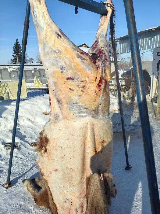 Баранина на заказ