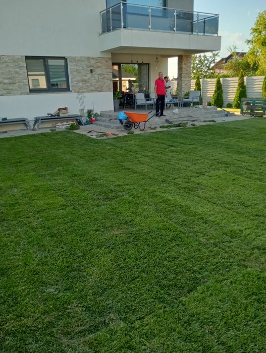Gazon rulou calitate superioara