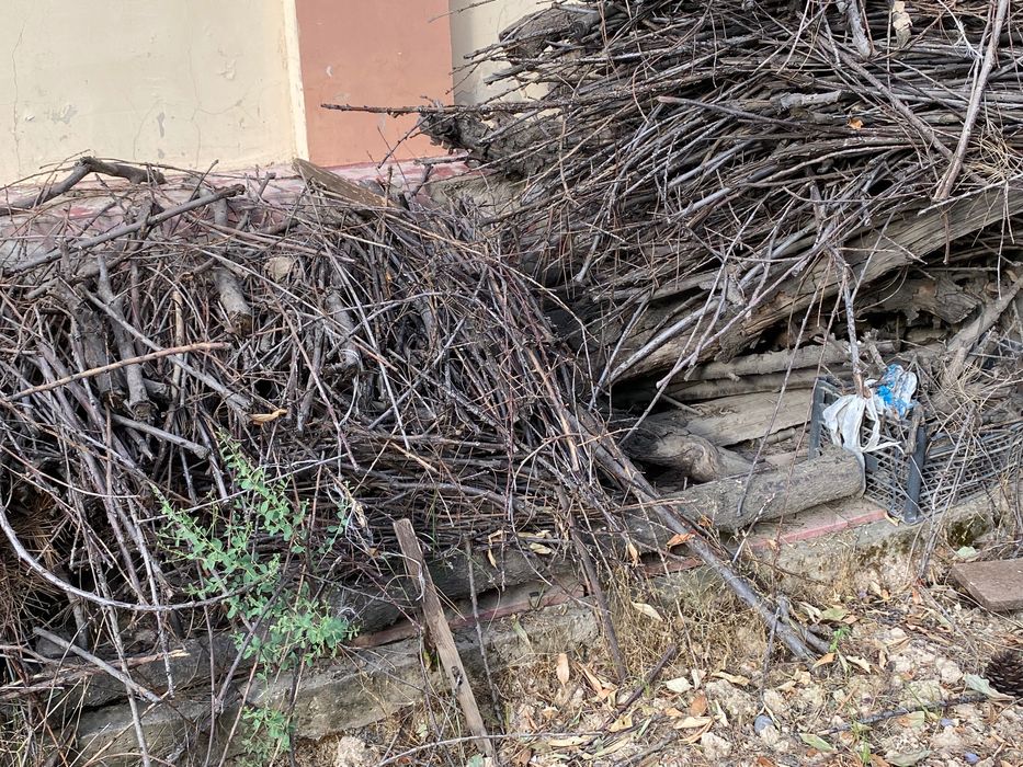 O’tin qalinlari kop