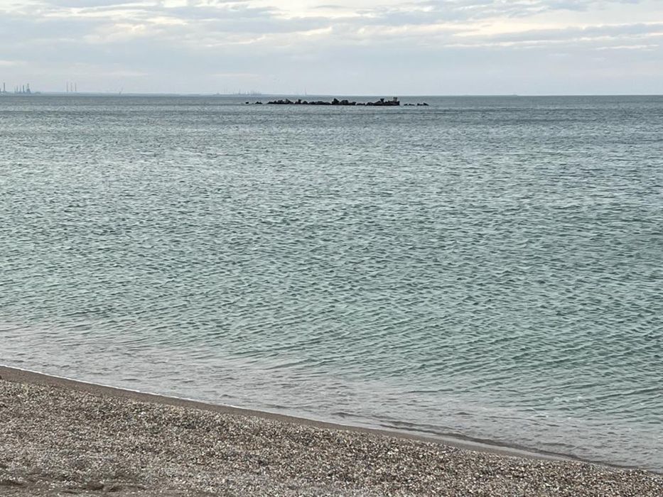 Statistica, Econometrie!