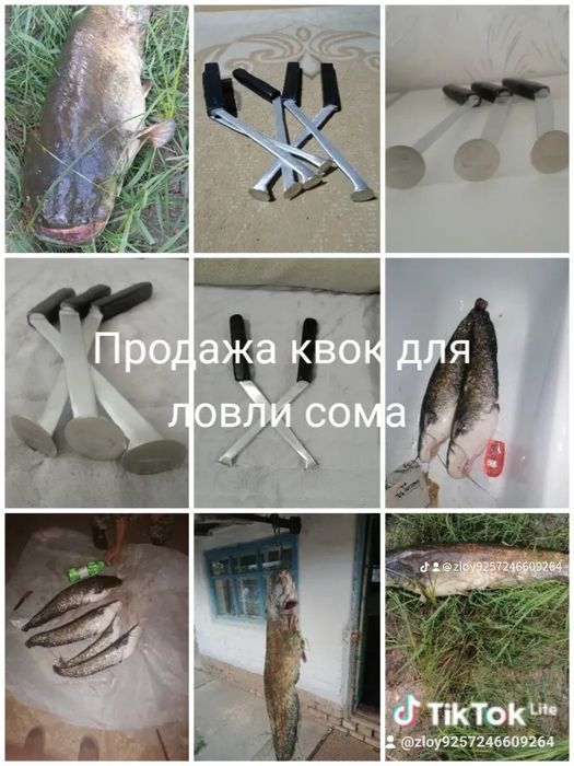 Квок для ловли сома