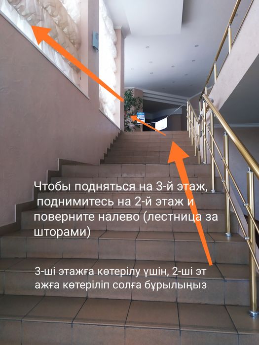 Мадонна соруды үйренеді (бейне)