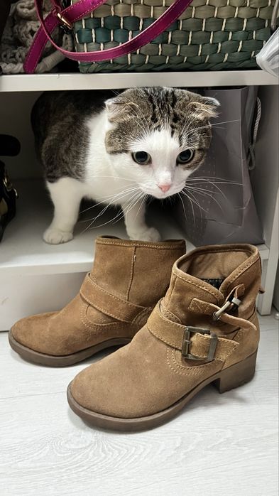 Ботинки Springfield