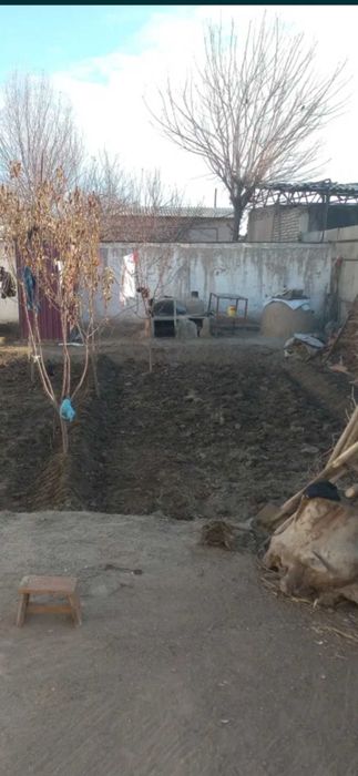 Хожели мясокомбинатта жай сатылады 360 млн