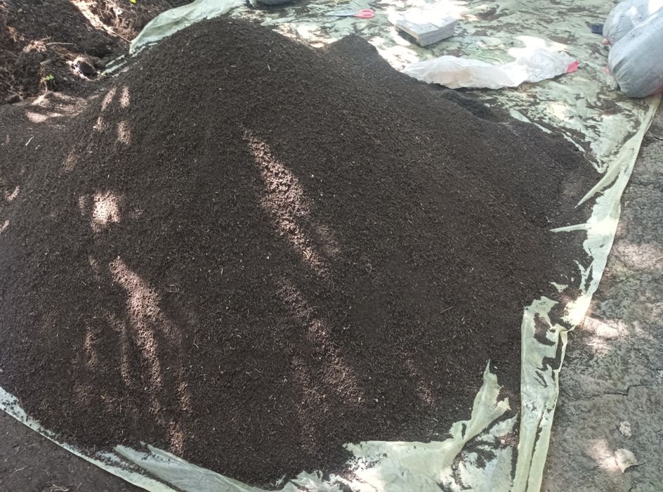 Biogomus биогомус