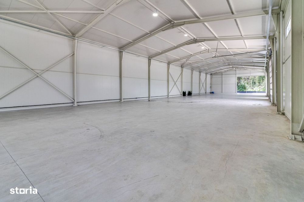 Reprezentanta PREMIUM| Hala Showroom 988mp, locatie exceptionala!