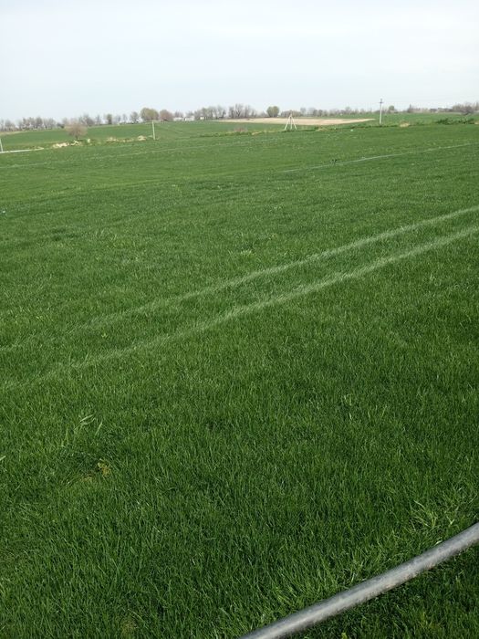 Gazon ekish va urug sepish paliv ornatish