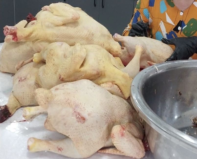 Продаю домашних бройлеров