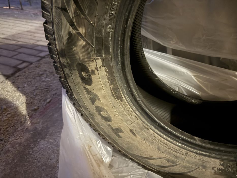 Шины Toyo Observe липучка