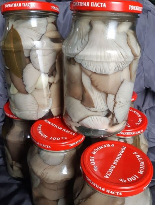 Продам маринованные грибы "Вешенка"