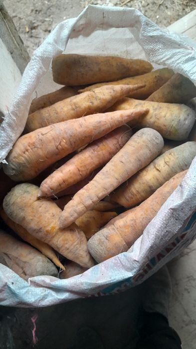 Geshir satiladi arzan baxada(kelisemiz nomerge sms jaziń)