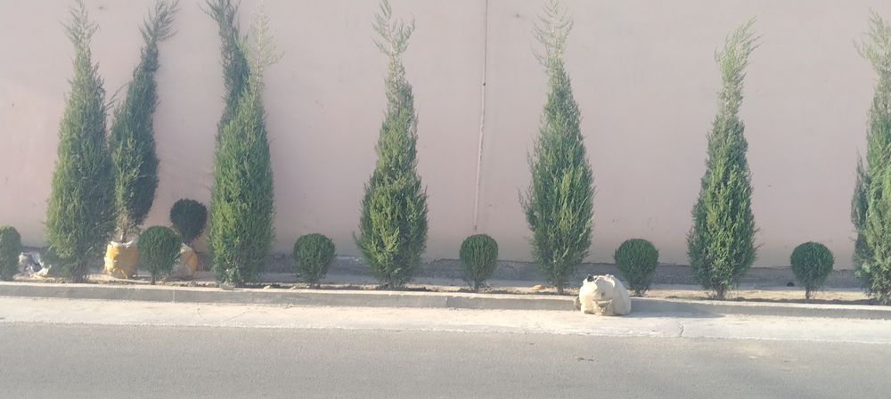 Ландшафт дизайн хизмати