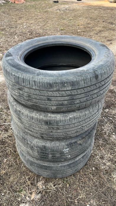 Жағыдайы жақсы!