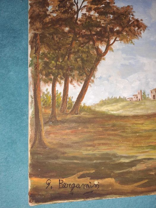 tablou pictura pe panza 30/40 cm semnat Bergamin