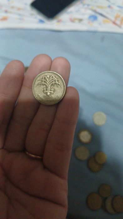qadimiy tanggalar kaleksiya uchun