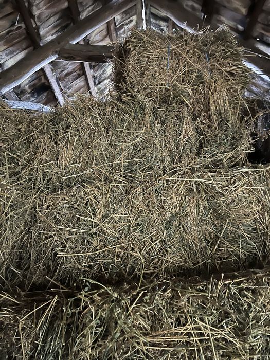 Vand baloti de lucerna