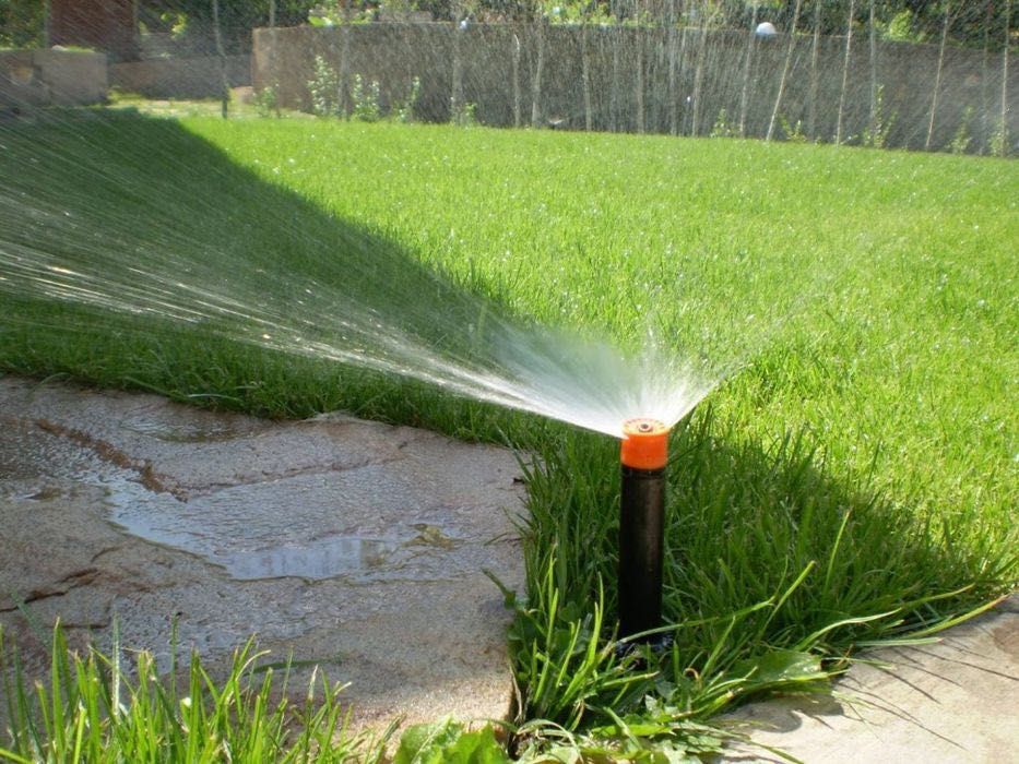 Рулонный газон Tabiy gazon ekish