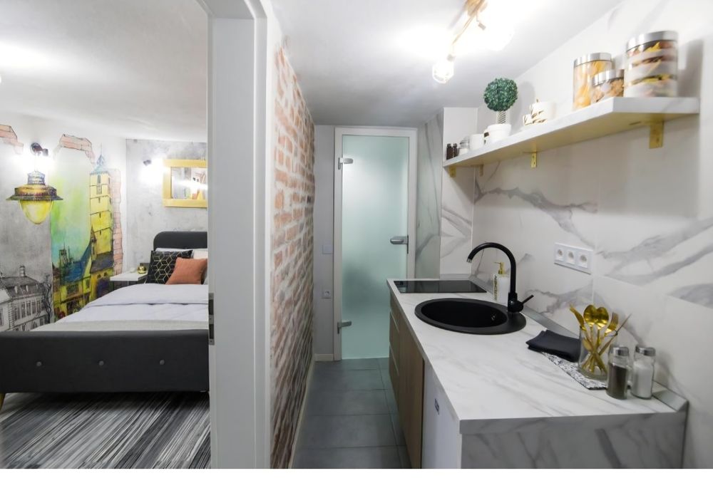 Garsoniera-zona centrala