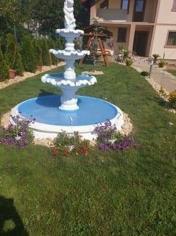fîntîni ARTEZIENE de curte