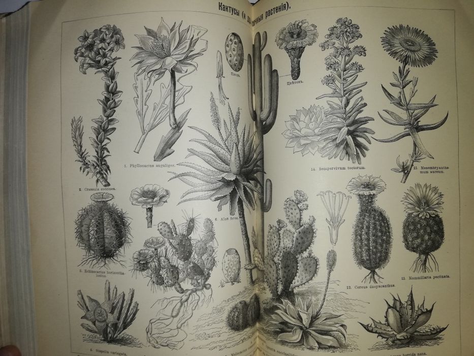 Энциклопедический словарь Южакова. Том 10