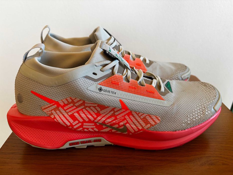 Nike Pegasus Trail Gore-Tex