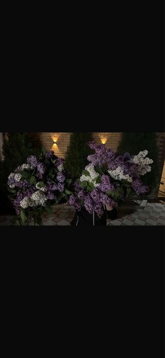 Сирень букеты алматы