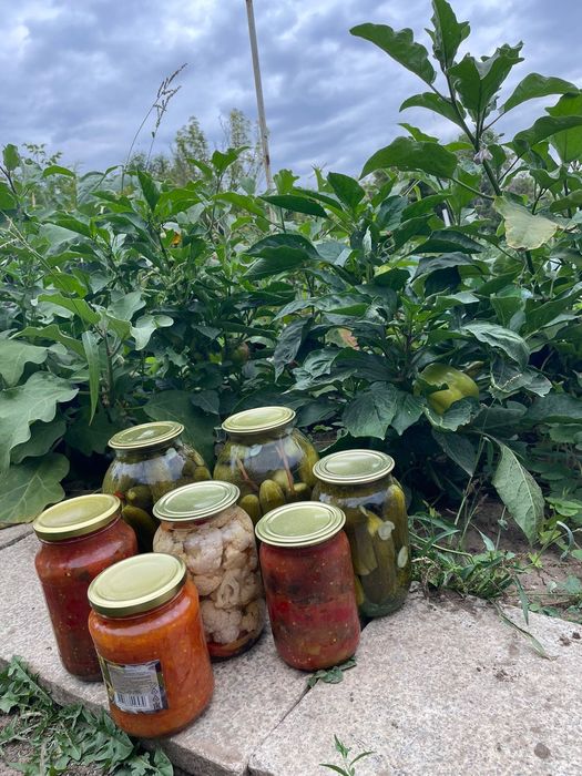 Домашние соленья