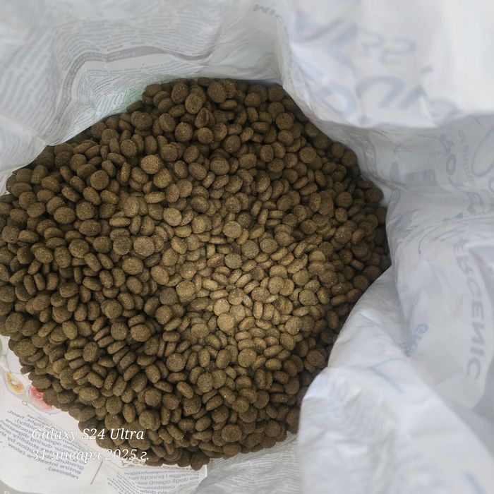 Сухой корм для собак