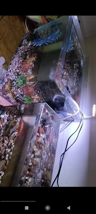 Аквариум сотилади 65литр балик