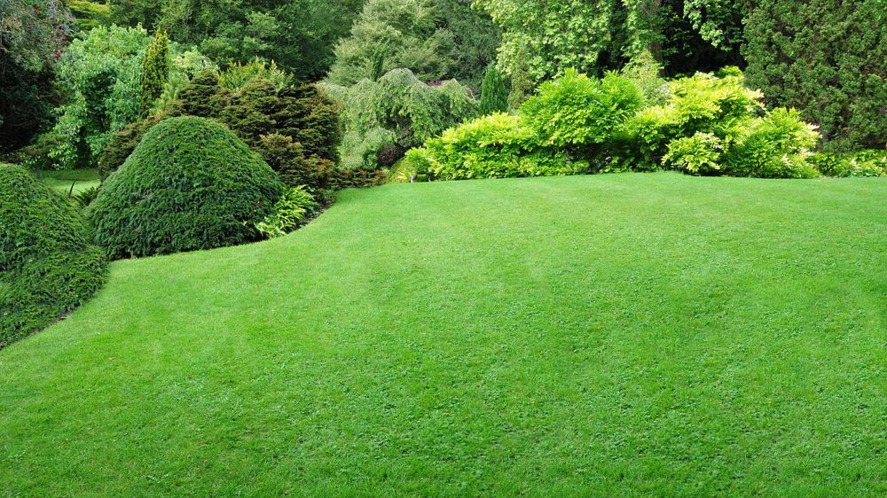 Газон экиш хизматлари