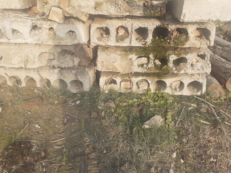 biton pilita  битон пилита