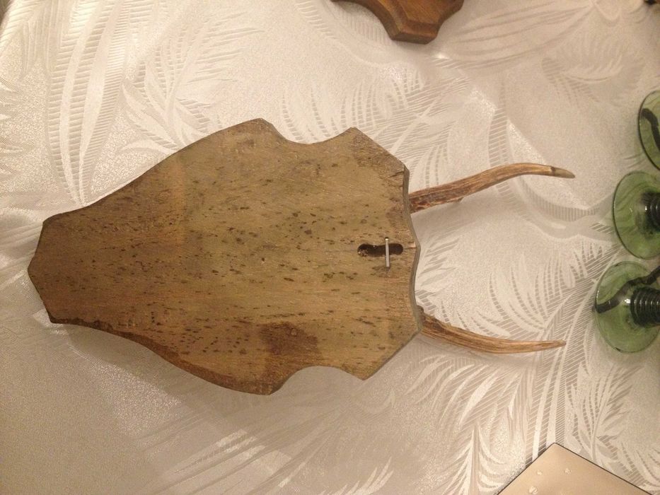 Немски трофеи диво прасе, сръндак/Чинии ловна тематика