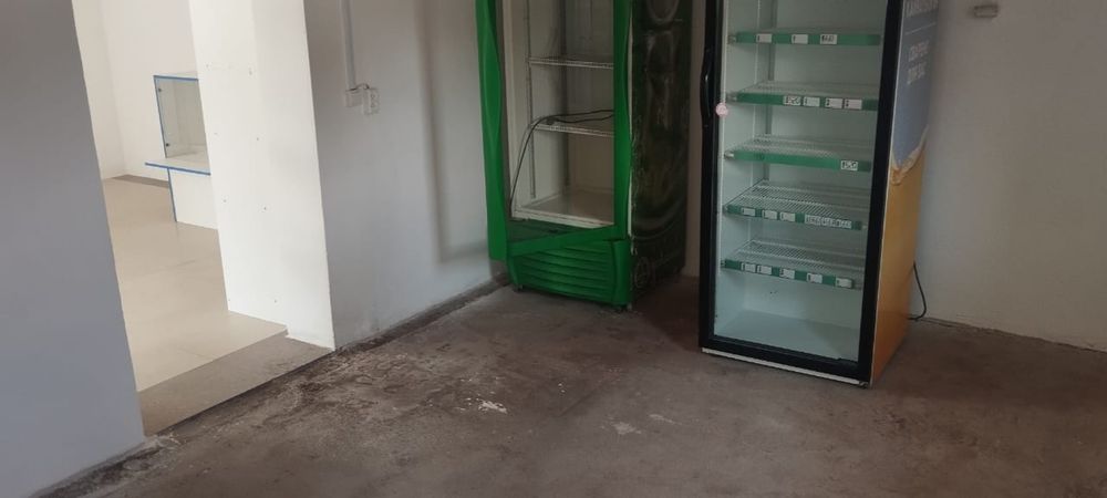 Аренда помещения Софиевка