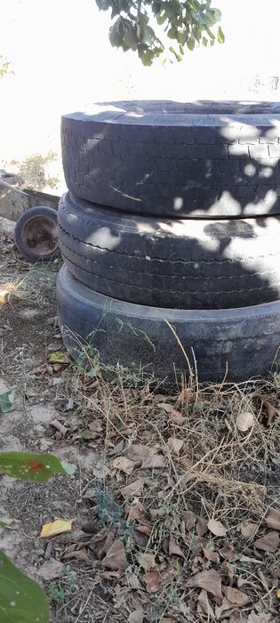 Шины грузавые 22.5