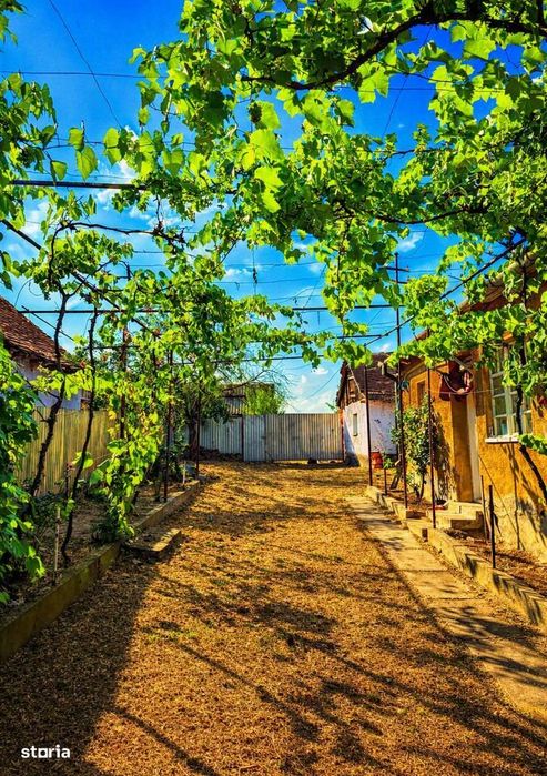 Casă + teren generos 1603 mp, poziție centrală – Ianoșda