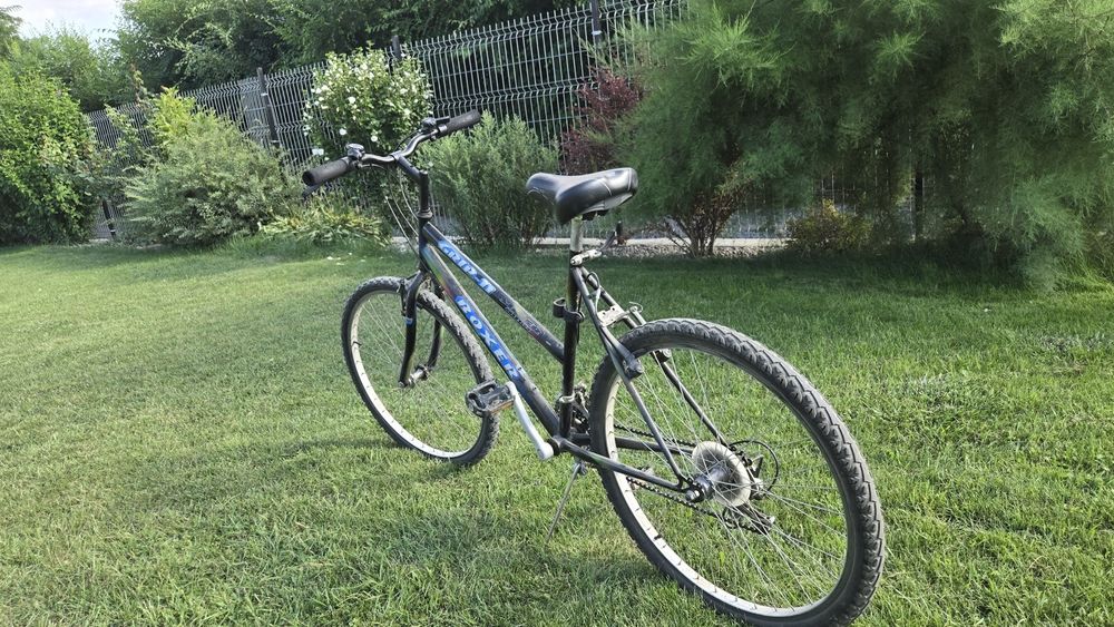 Bicicleta Boxer.