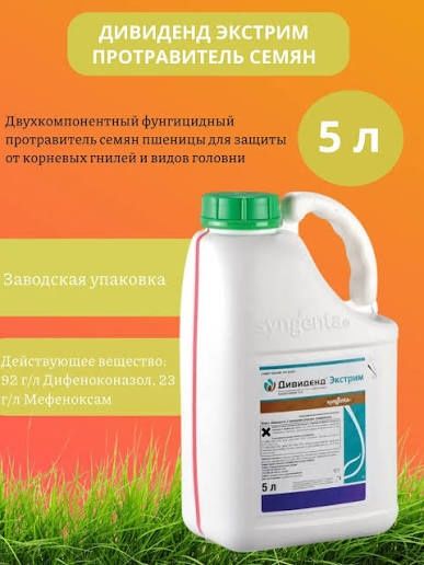 Протравитель семян (фунгицидный)